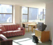 Apartment Living Room - Hyde Park Plaza 1102